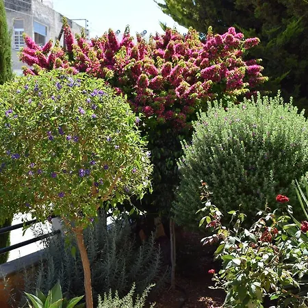 Appartement Anthi Holiday Limassol